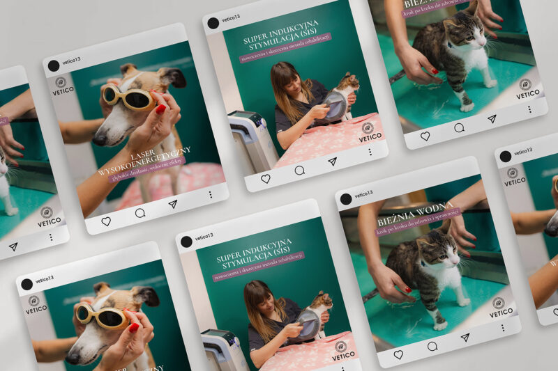 social_media_vetico2